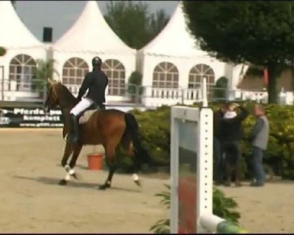 Vosswinkeler Reitertage CSN 2011