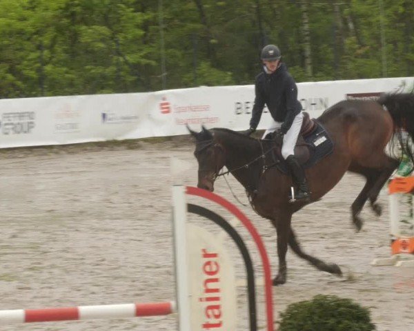 Reitturnier Neunkirchen-City 2024