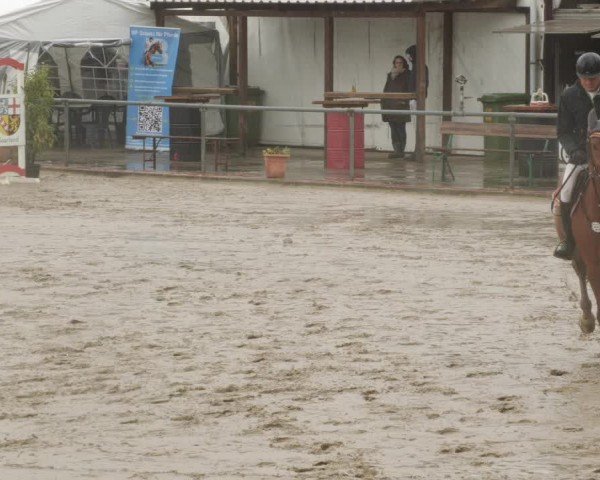 Reitturnier Neunkirchen-City 2024