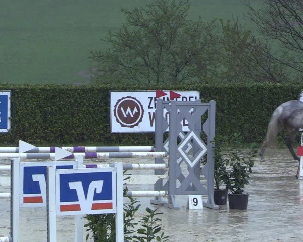 Reitturnier Lindlar-Süttenbach 2024