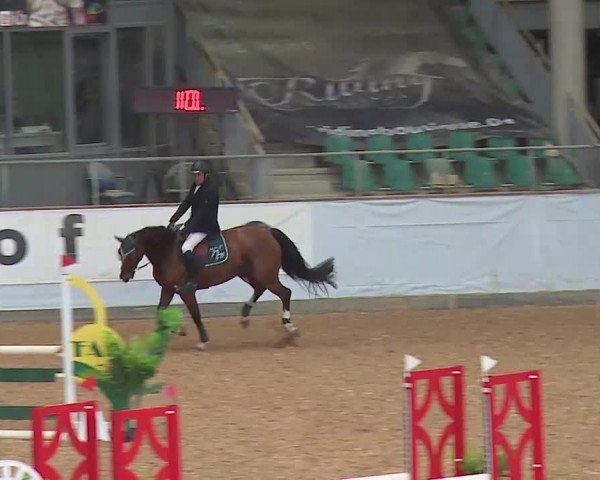 Springturnier Kreuth 2021
