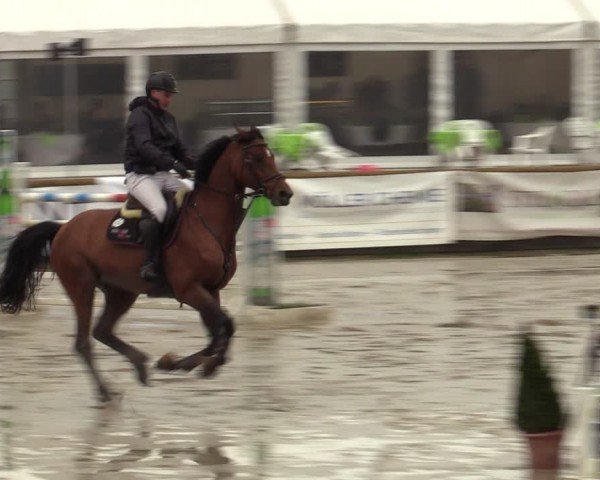 Reitturnier Werne-Lenklar 2024