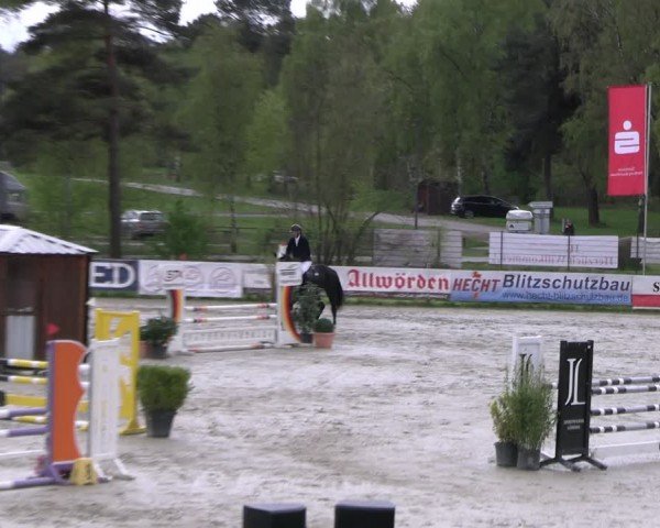 Reitturnier Westergellersen 2024