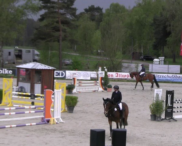 Reitturnier Westergellersen 2024