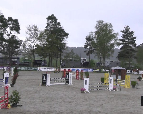 Reitturnier Westergellersen 2024