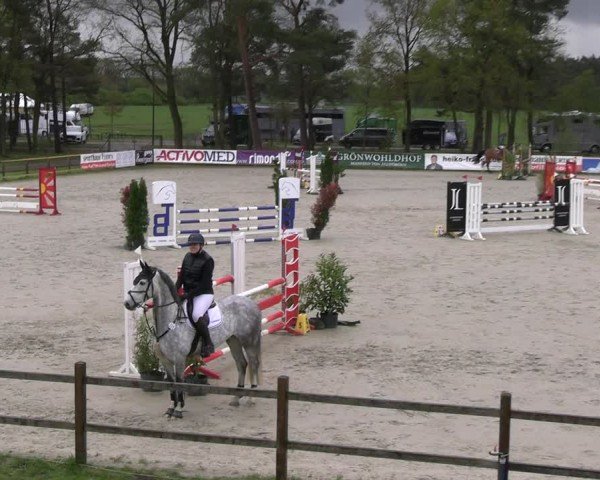 Reitturnier Westergellersen 2024