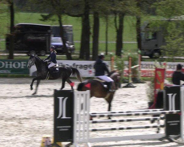 Reitturnier Westergellersen 2024