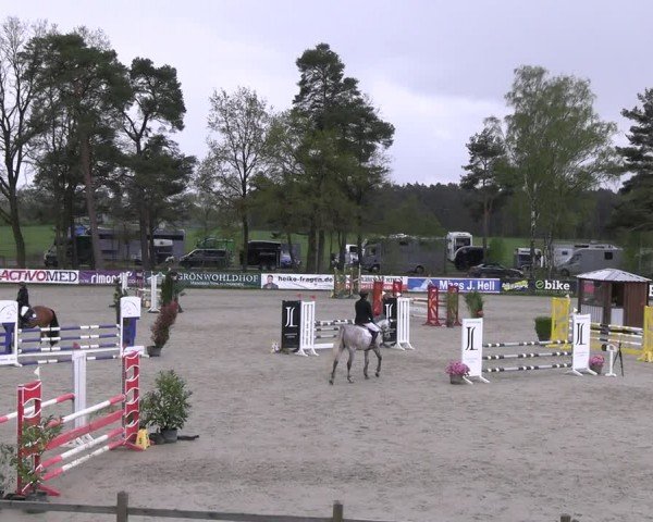 Reitturnier Westergellersen 2024