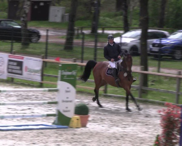 Reitturnier Westergellersen 2024