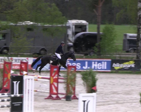 Reitturnier Westergellersen 2024