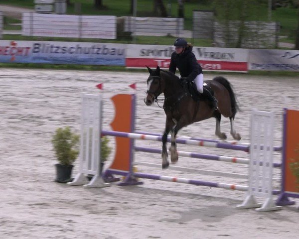 Reitturnier Westergellersen 2024
