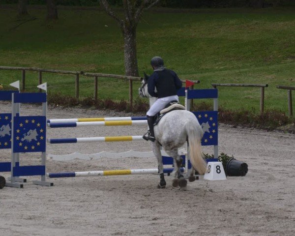 Reitturnier Tübingen 2024