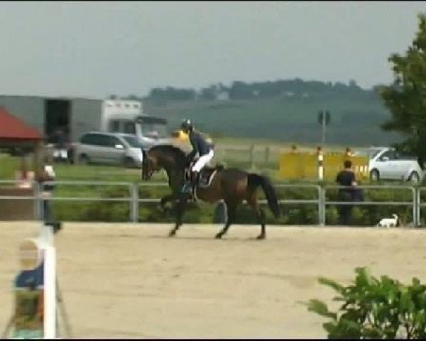 Vosswinkeler Reitertage CSN 2011