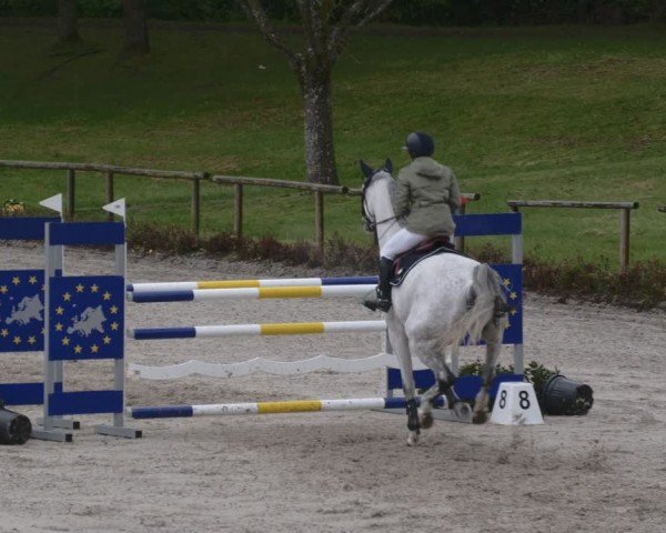 Reitturnier Tübingen 2024