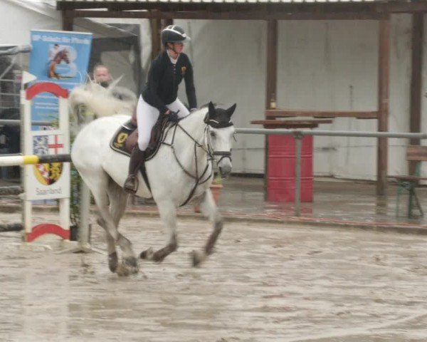 Reitturnier Neunkirchen-City 2024