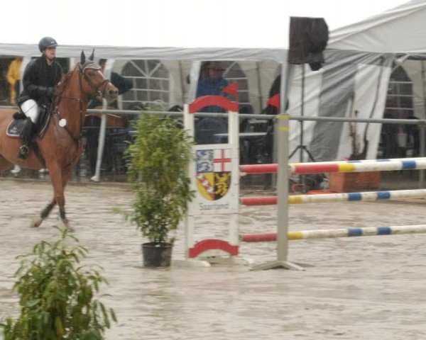 Reitturnier Neunkirchen-City 2024