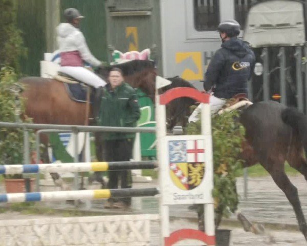 Reitturnier Neunkirchen-City 2024