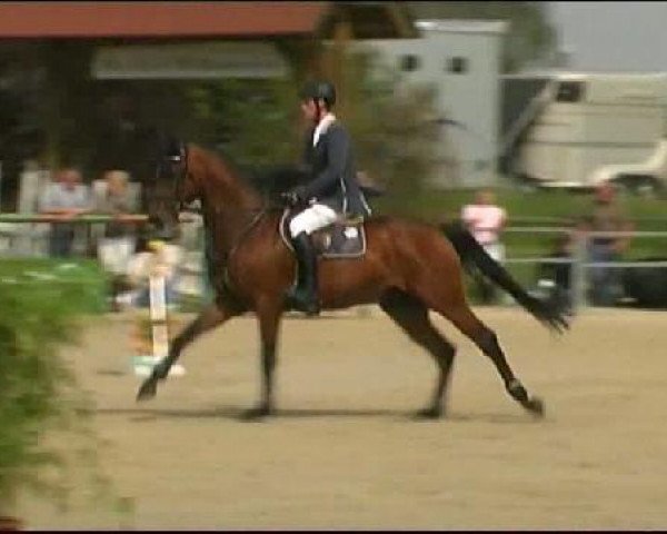 Vosswinkeler Reitertage CSN 2011