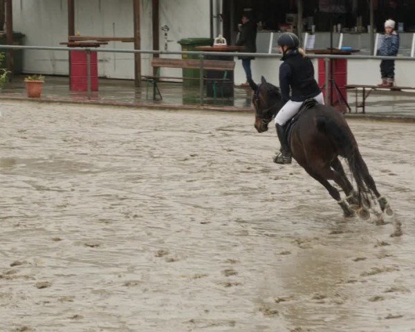 Reitturnier Neunkirchen-City 2024