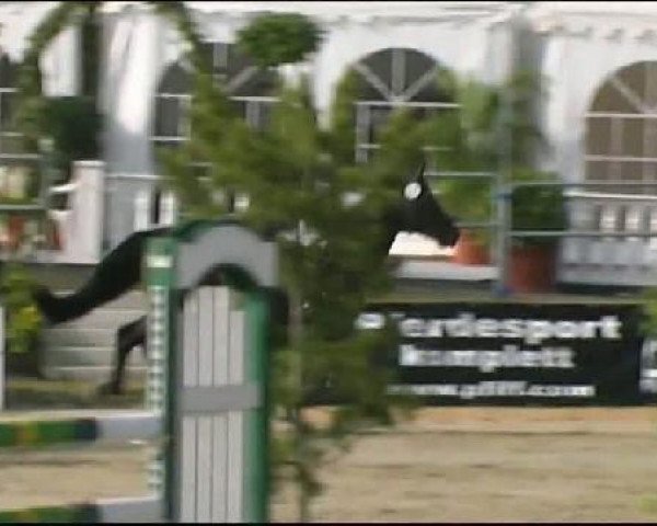 Reitturnier Arnsberg-Voßwinkel 2011