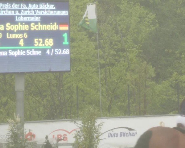 Reitturnier Neunkirchen-City 2024