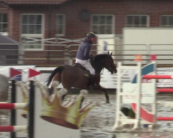 Lenklarer Reitertage Werne 2024