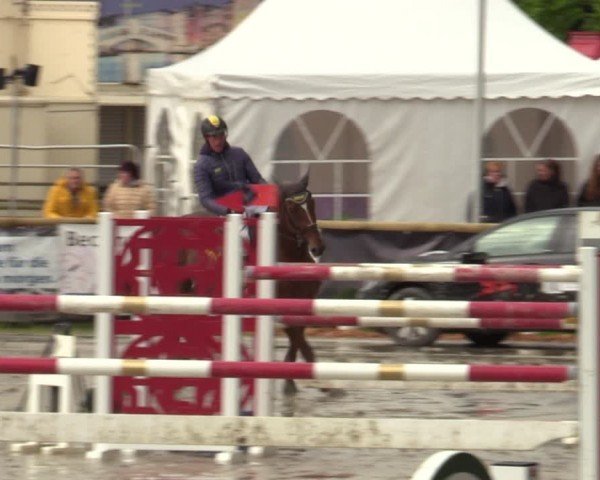 Lenklarer Reitertage Werne 2024