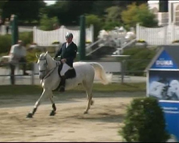 Vosswinkeler Reitertage CSN 2011