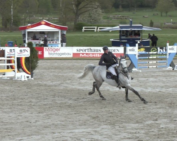 Reitturnier Westergellersen 2024