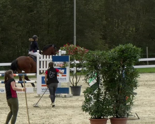 Reitturnier Isny-Rohrdorf 2021
