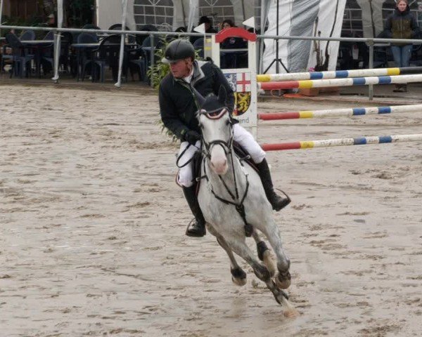 Reitturnier Neunkirchen-City 2024