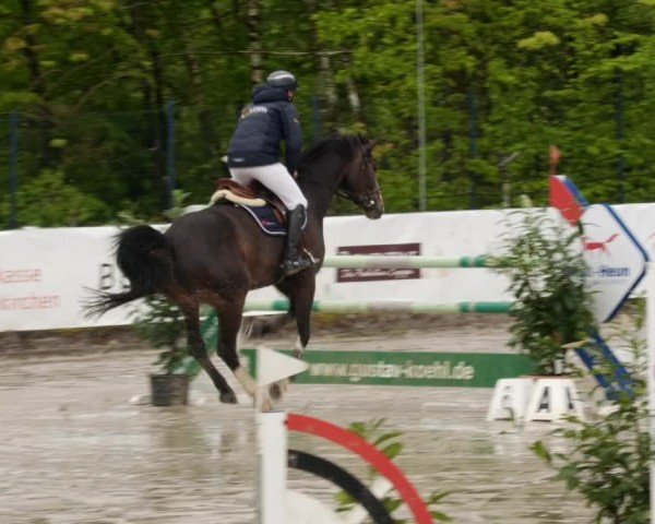 Reitturnier Neunkirchen-City 2024