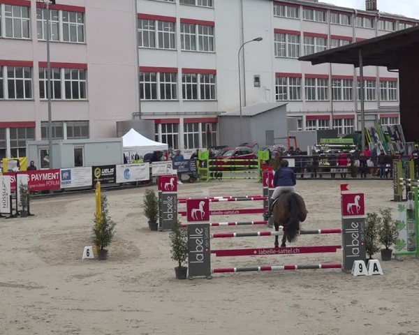 Reitturnier Sulgen 2024