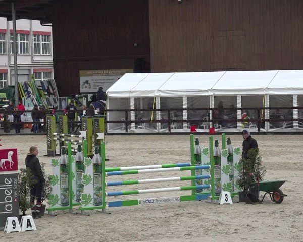 Reitturnier Sulgen 2024