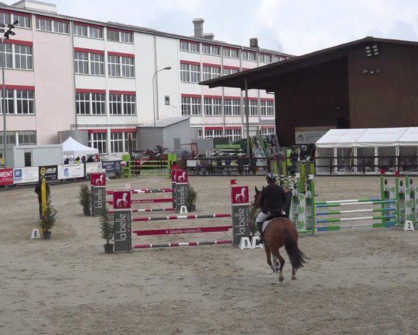 Reitturnier Sulgen 2024