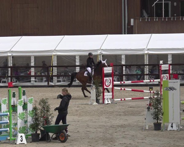 Reitturnier Sulgen 2024