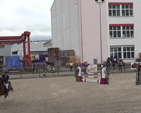 Reitturnier Sulgen 2024
