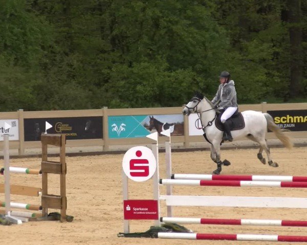 Reitturnier Tiefenhof/Opf. 2024