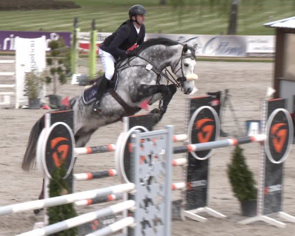 Reitturnier Westergellersen 2024