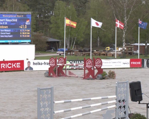 Reitturnier Westergellersen 2024