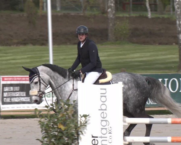 Reitturnier Westergellersen 2024