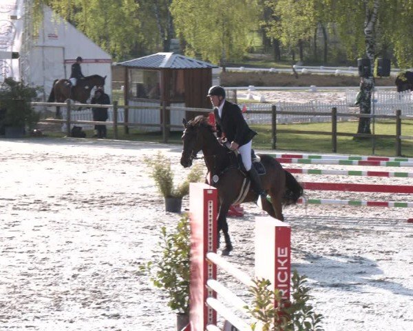 Reitturnier Westergellersen 2024