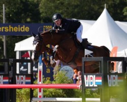 stallion Madness 15 (KWPN (Royal Dutch Sporthorse), 2017, from Kannan)