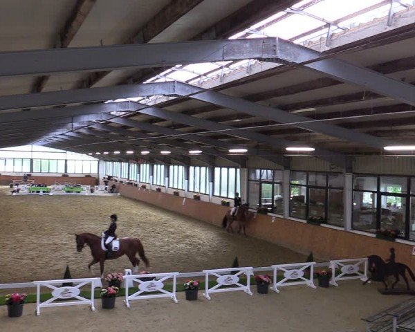 Reitturnier Werne-Lenklar 2024
