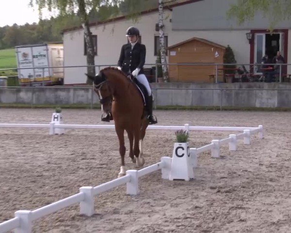 Reitturnier Landenhausen 2024