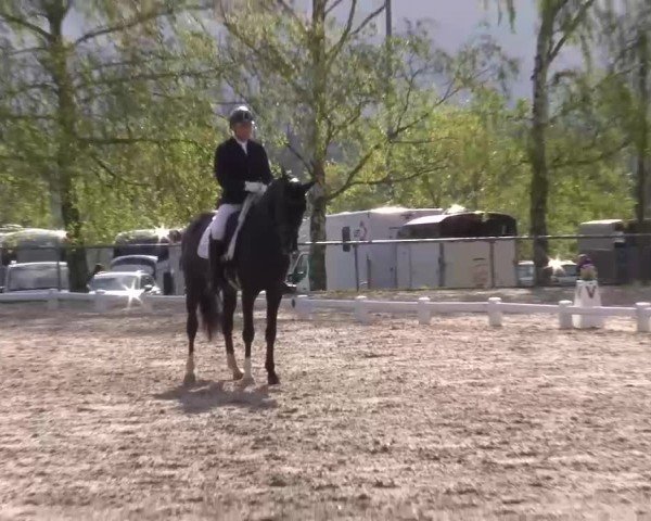 Reitturnier Landenhausen 2024