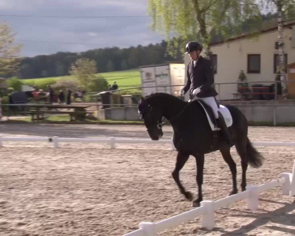 Reitturnier Landenhausen 2024