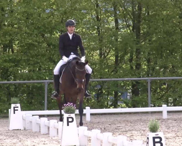 Reitturnier Landenhausen 2024