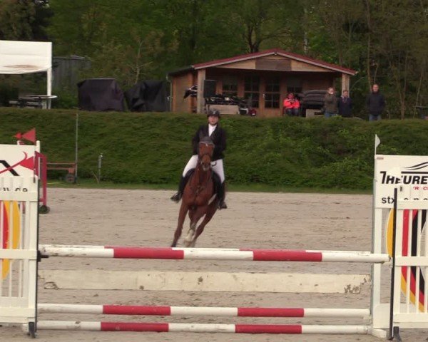 Reitturnier Pietzpuhl 2024