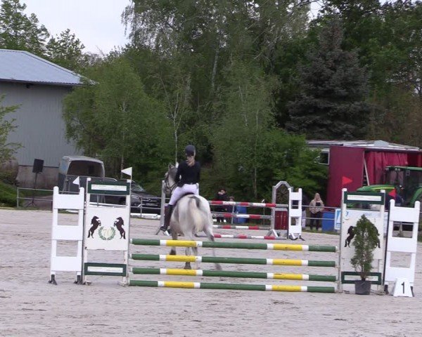 Reitturnier Pietzpuhl 2024